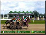 Carreras Virtuales